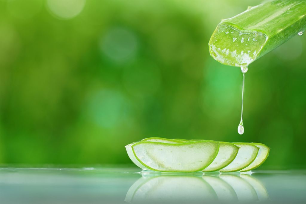 Sử dụng gel nha đam tinh khiết giúp da mặt phục hồi màng ẩm và giảm tăng sắc tố melanin