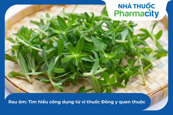 Rau ôm: Tìm hiểu công dụng từ vị thuốc Đông y quen thuộc