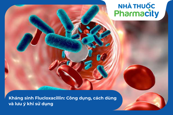 Có hiệu quả cao trong việc diệt trừ tụ cầu và liên cầu gây bệnh