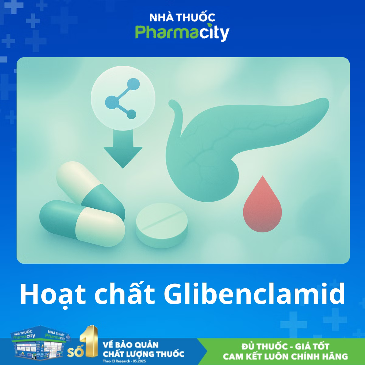 Cơ chế tác dụng của hoạt chất Glibenclamid trong việc kích thích tế bào beta của tuyến tụy tăng cường tiết insulin, giúp kiểm soát và hạ đường huyết hiệu quả ở bệnh nhân tiểu đường tuýp 2. 