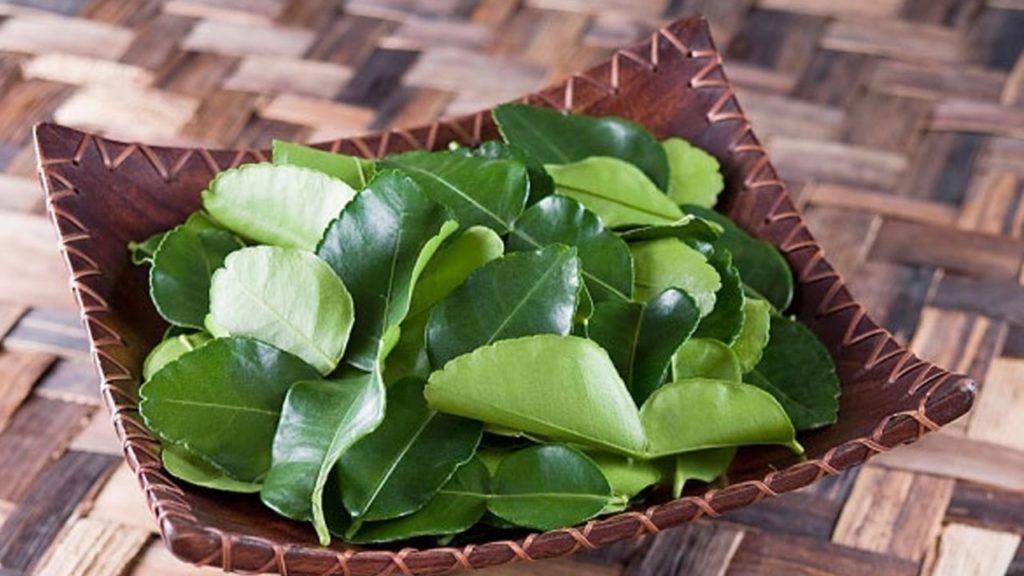 Việc đun nấu đúng cách giúp đảm bảo những điều cần lưu ý khi sử dụng lá bưởi hiệu quả (Nguồn: Sưu tầm)