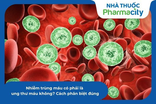 GIAI ĐOẠN CUỐI CỦA BỆNH NHIỄM TRÙNG MÁU CÓ THỂ DẪN ĐẾN SỐC NHIỄM TRÙNG SUY ĐA TẠNG VÀ NGUY CƠ TỬ VONG CAO