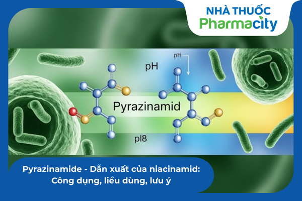Pyrazinamide - Dẫn xuất của niacinamid: Công dụng, liều dùng, lưu ý