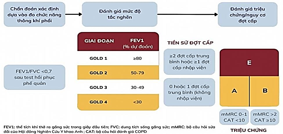 Minh hoạ về các chỉ số FEV1/FVC
