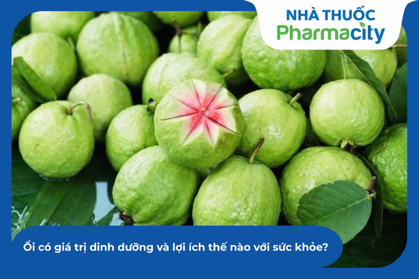 Việc sử dụng lá ổi cần đúng liều lượng để tránh gây ra tình trạng táo bón ngược cho người bệnh