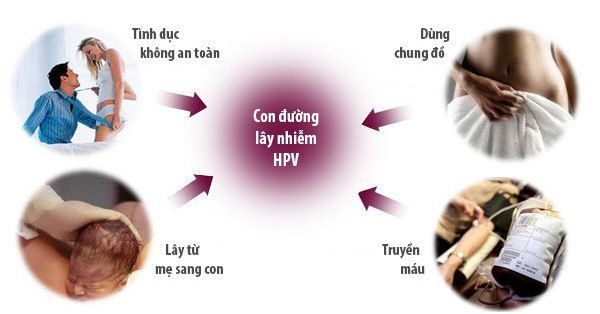 Tiếp xúc gián tiếp có thể dẫn đến sự hiện diện của virus HPV 