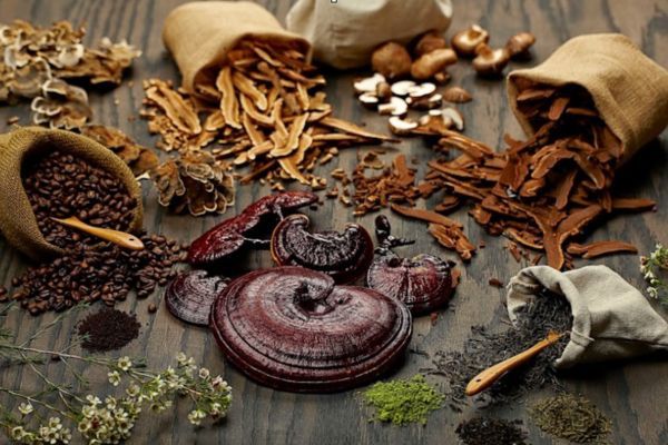 Người dùng cần lưu ý theo dõi chỉ số huyết áp khi phối hợp nấm cùng thuốc điều trị 