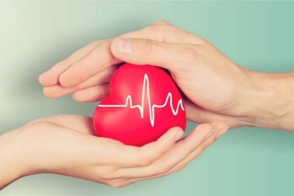 Người bệnh nên lựa chọn các sản phẩm chứa chiết xuất Linh Chi có nguồn gốc xuất xứ rõ ràng 
