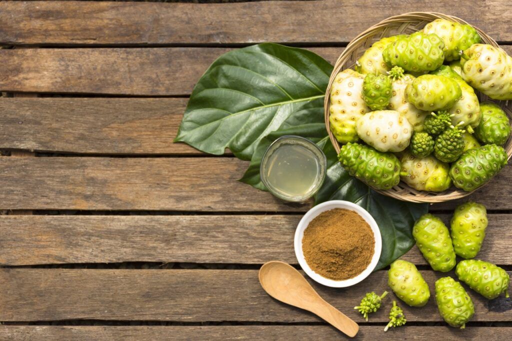 Rễ nhàu khô là vị thuốc quý trong việc hỗ trợ hạ huyết áp và giảm đau 