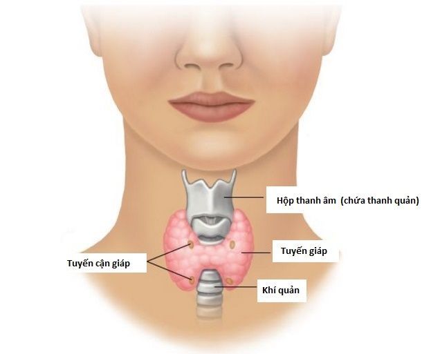Sự đồng hành của gia đình là điểm tựa quan trọng cho bệnh nhân trong quá trình điều trị