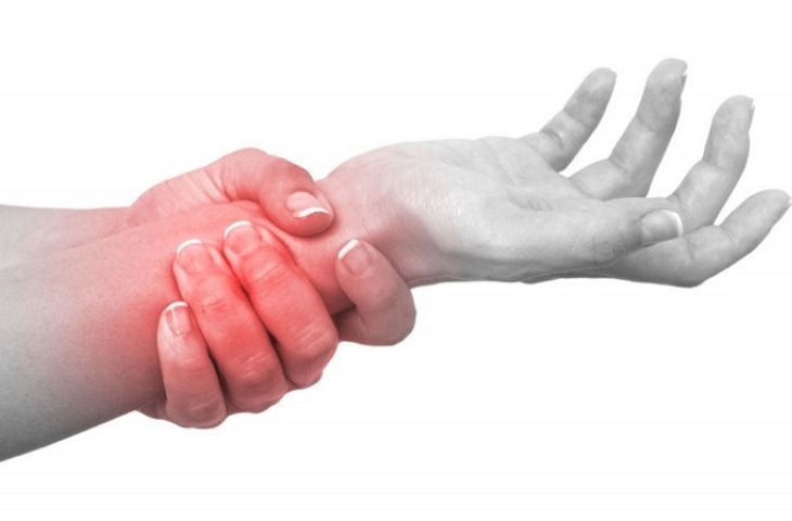Hình minh họa gân và cơ ở bàn tay giúp thực hiện các động tác cầm nắm và vận động ngón tay