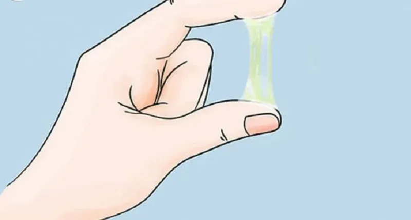 Minh hoạ về dịch nhầy nơi quần lót