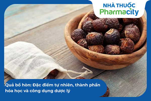 Quả bồ hòn: Đặc điểm tự nhiên, thành phần hóa học và công dụng dược lý