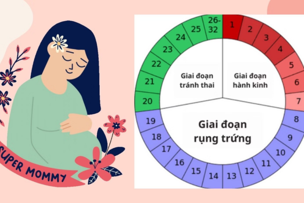 Xác định chính xác ngày rụng trứng giúp các cặp đôi tối ưu hóa cơ hội thụ thai thành công 