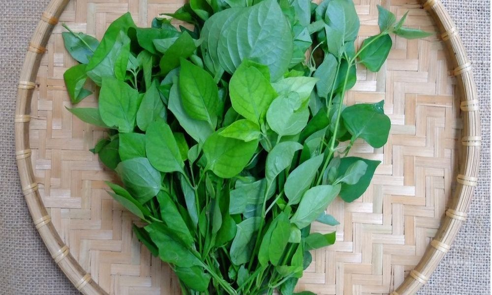 Canh rau ngót là món ăn hỗ trợ thanh nhiệt và bồi bổ khí huyết hiệu quả