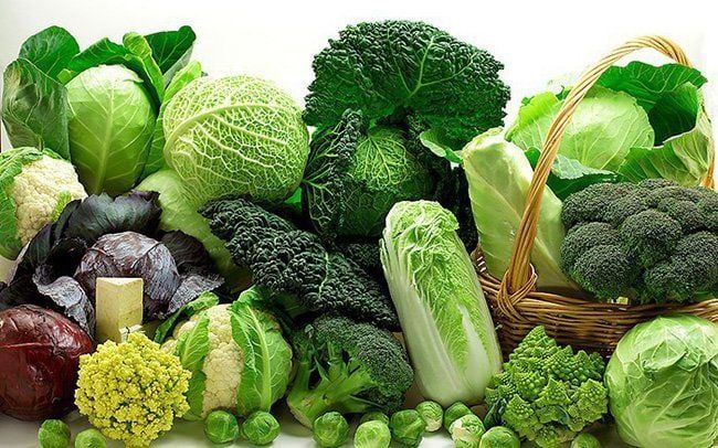 Lựa chọn rau củ nấu chín kỹ giúp cơ thể hấp thụ dưỡng chất mà không gây kích ứng ruột