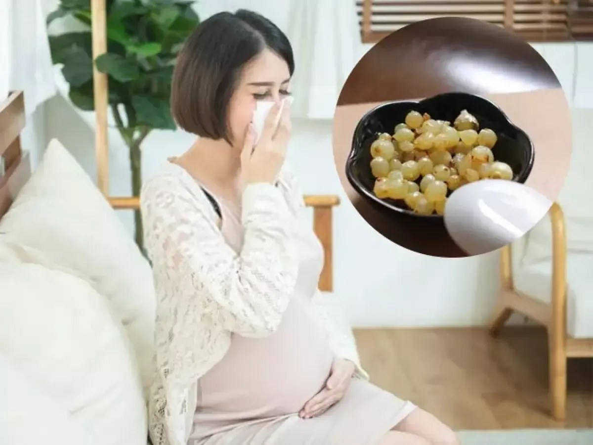 Củ nén là củ gì? Những công dụng đối với sức khỏe và cách dùng