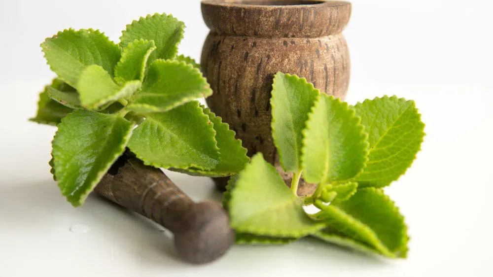 Các mẹo dân gian tự nhiên chỉ mang tính hỗ trợ và cần thận trọng để tránh gây kích ứng bề mặt da 