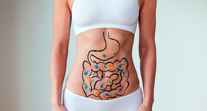 Cấu tạo ruột non với các nếp gấp và nhung mao giúp tăng khả năng hấp thu dinh dưỡng