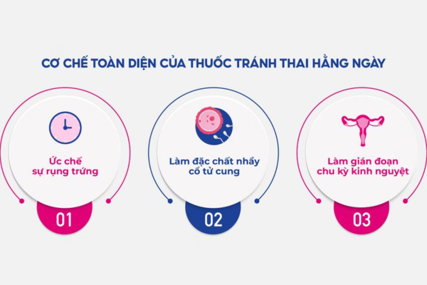 Thiết lập một khung giờ cố định giúp tối ưu hóa nồng độ hormone tránh thai trong cơ thể
