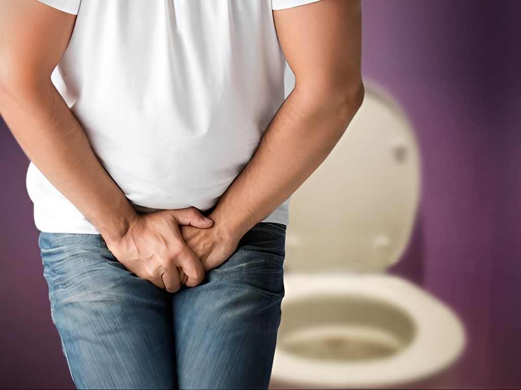 Hình minh họa tuyến tiền liệt ở nam giới