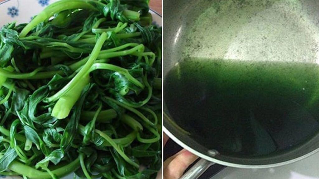 Nước rau muống đen có phải do nhiễm chì? Có nên ăn khi nước luộc rau ...