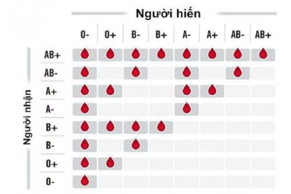 Hiến máu là hành động nhân đạo giúp duy trì nguồn máu sống cứu người 
