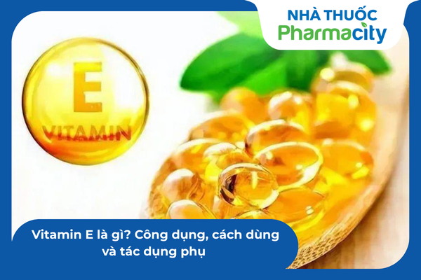 Vitamin E là chất chống oxy hóa mạnh giúp bảo vệ cấu trúc lipid của màng tế bào 