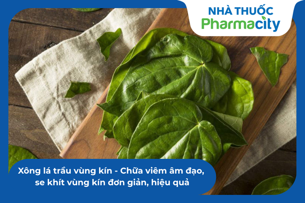 Lá trầu có tính kháng khuẩn cao lợi khuẩn tốt cho vùng kín 