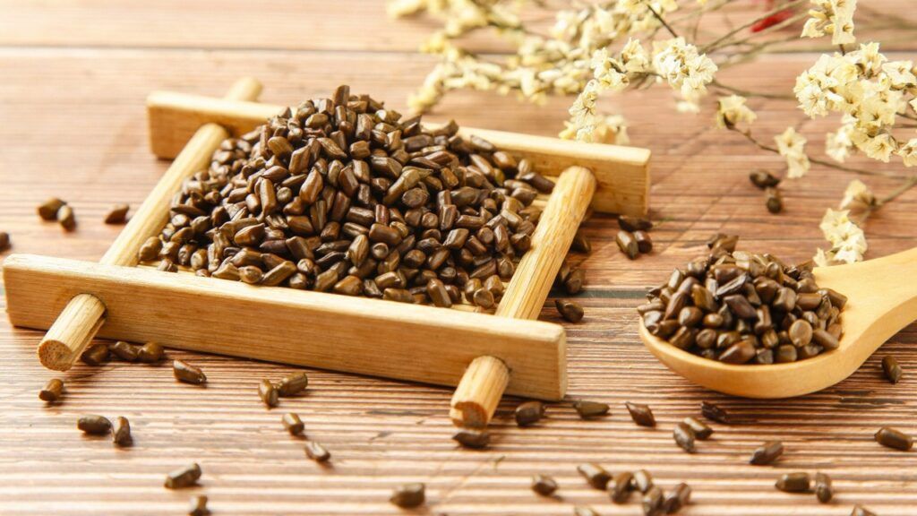 Trà hạt muồng giúp hỗ trợ an thần và cải thiện thị lực hiệu quả (Nguồn: Sưu tầm)